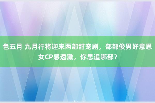 色五月 九月行将迎来两部甜宠剧，部部俊男好意思女CP感透澈，你思追哪部？