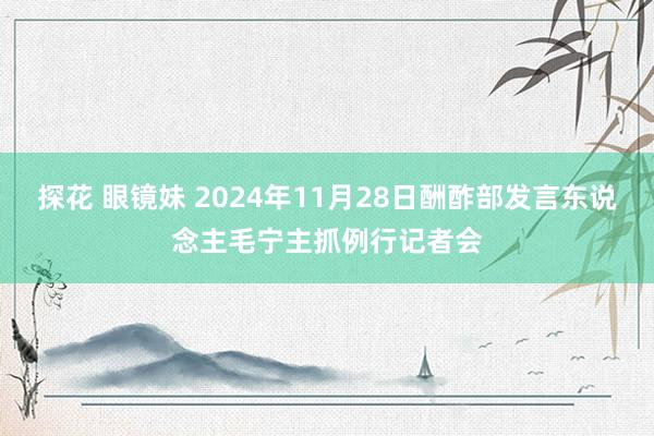 探花 眼镜妹 2024年11月28日酬酢部发言东说念主毛宁主抓例行记者会