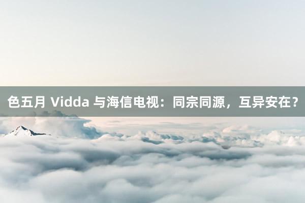 色五月 Vidda 与海信电视：同宗同源，互异安在？