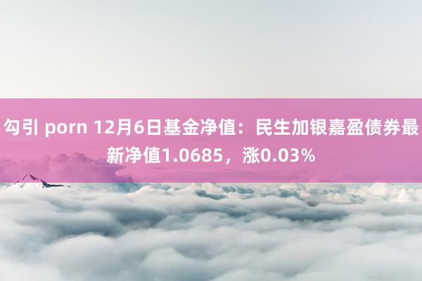 勾引 porn 12月6日基金净值：民生加银嘉盈债券最新净值1.0685，涨0.03%