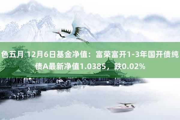 色五月 12月6日基金净值：富荣富开1-3年国开债纯债A最新净值1.0385，跌0.02%