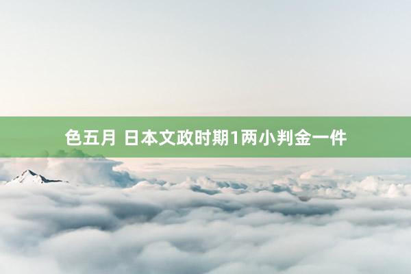 色五月 日本文政时期1两小判金一件