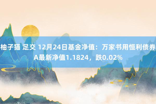 柚子猫 足交 12月24日基金净值：万家书用恒利债券A最新净值1.1824，跌0.02%