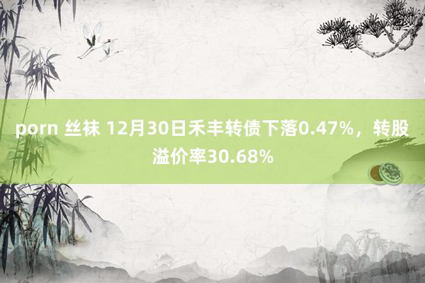 porn 丝袜 12月30日禾丰转债下落0.47%，转股溢价率30.68%